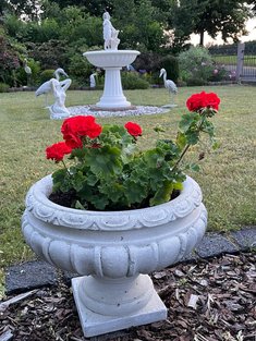 Blumenschmuck im Garten